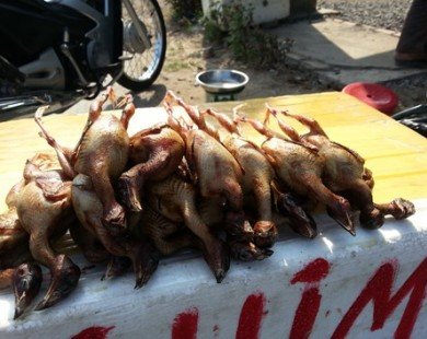 Chim cút thải loại đội lốt chim rừng bán ở vỉa hè Sài Gòn