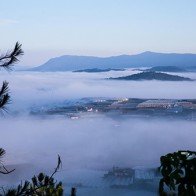 Những trải nghiệm Đà Lạt tuyệt vời cho mùa hè