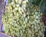 Phân biệt nho Trung Quốc - Ninh Thuận, cam Vinh - Cao Phong thế nào?