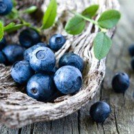 Kinh ngạc với những lợi ích từ quả việt quất