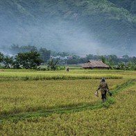 Việt Nam vào top những điểm đến du lịch bụi hấp dẫn nhất