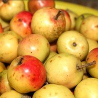 Táo méo không hẳn chỉ để ngâm rượu đâu