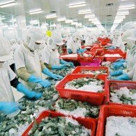 Kỳ tích con tôm Việt Nam: Vật nuôi nhỏ giúp bù tăng trưởng