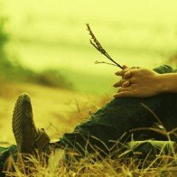 Mùa hoài niệm cho em