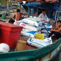 ĐBSCL điêu đứng bởi nạn cướp nghêu, sò