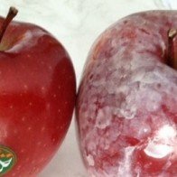 Mẹo hay phát hiện táo chứa chất độc bằng nước nóng
