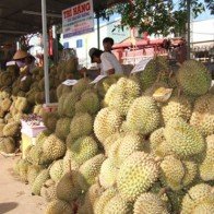 Hoa quả đặc sản - lại bị thương lái Trung Quốc ép giá