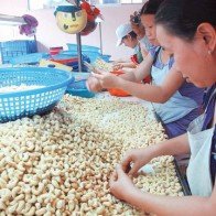 Tiêu được giá, điều... hụt hơi