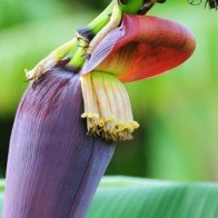 12 thực phẩm giúp mẹ có nhiều sữa cho bé