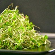 Sự thật về lợi ích mang lại cho sức khỏe khi ăn rau mầm