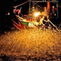 "Đã mắt" với màn đánh cá bằng lửa đẹp mê hoặc ở Đài Loan