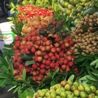 Dân Hà Nội đang ăn chôm chôm đắt gấp 8 lần