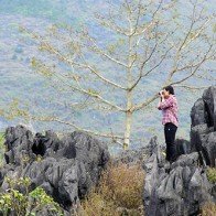Hà Giang hùng vĩ trong "Hành trình cao nguyên đá"