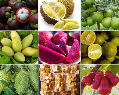 Cả trăm loại nông sản thực phẩm an toàn Nam Bộ 
