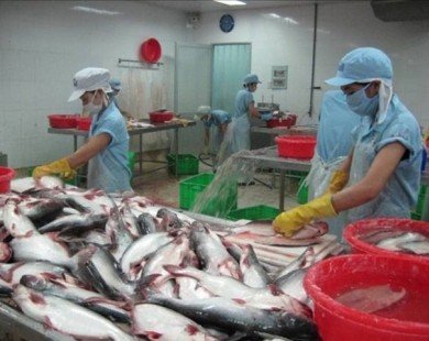 “Vua cá tra” Hùng Vương “nhắm” đến mua bán DN nông nghiệp