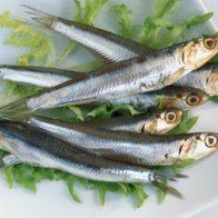 Phòng chống loãng xương, không chỉ có sữa