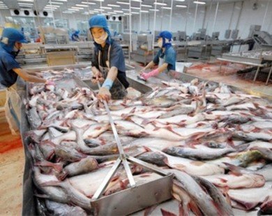 Bác thông tin Mỹ cấm nhập khẩu lô cá da trơn 20 tấn từ Việt Nam