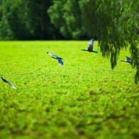 Những điểm du lịch trong nước hút khách dịp lễ 2/9