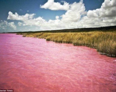 Hồ nước chuyển màu hồng bí ẩn ở Siberia