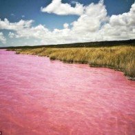 Hồ nước chuyển màu hồng bí ẩn ở Siberia