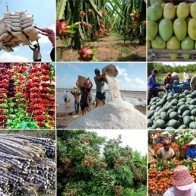 5 cách làm giàu từ nông nghiệp nhanh chóng và hiệu quả