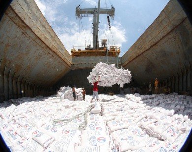 Việt Nam thắng thầu 150.000 tấn gạo 25% tấm cho Philippines