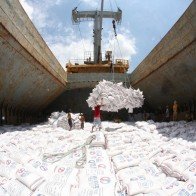 Việt Nam thắng thầu 150.000 tấn gạo 25% tấm cho Philippines