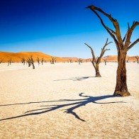 Namibia - Chân trời bất tận