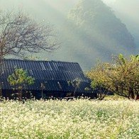 Mộc Châu – Những điểm nên đến