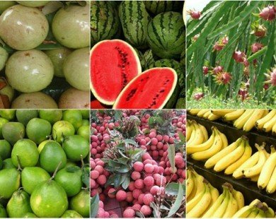 Điểm danh những loại quả thuần Việt không bao giờ nhập khẩu từ TQ