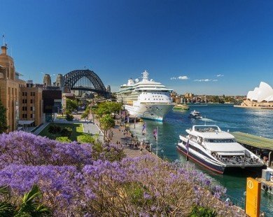 Úc châu – Tím biếc mùa hoa thương nhớ