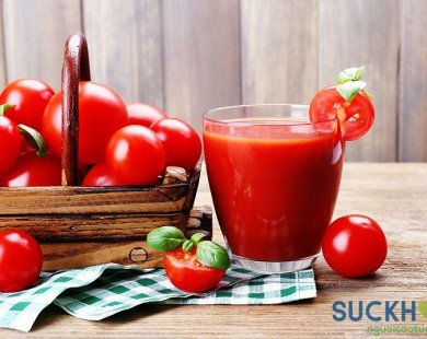Cà chua – Loại thực phẩm bổ dưỡng và phòng chống bệnh tật