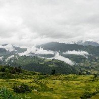 Giới trẻ bị "đốn tim" bởi ruộng bậc thang vàng óng mùa lúa chín