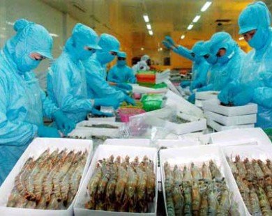 Xuất khẩu thủy sản sang Trung Quốc: Thị trường 20 tỷ đô có “dễ ăn”?