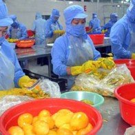 Xuất khẩu rau quả dự kiến đạt 2,5 tỷ USD