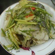 Mách bạn cách làm cá hấp bia, ăn là ghiền