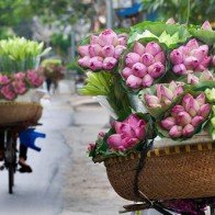 Những lý do khách Tây "phải lòng" ở Hà Nội