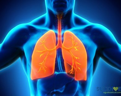 Hội chứng suy hô hấp cấp