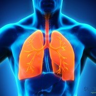 Hội chứng suy hô hấp cấp