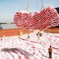 Philippines sẽ mua thêm 293.000 tấn gạo Việt Nam