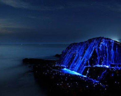 Ánh sáng xanh huyền ảo bên bờ biển Nhật Bản
