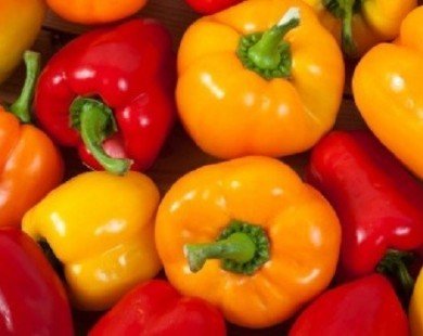 9 lợi ích không ngờ ớt chuông mang lại cho sức khỏe