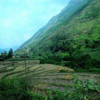 Cận cảnh thị trấn Đồng Văn vào mùa đẹp nhất