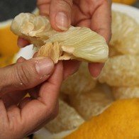 Mẹo chữa đau dạ dày mà chưa hết đến 2000 đồng