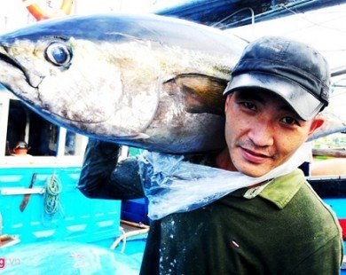 Có 1.081 loài hải sản trên vùng biển Việt Nam