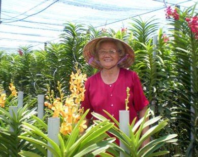 “Trùm” hoa lan tuổi 70 ở đất thép Củ Chi
