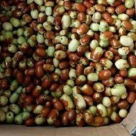 Táo tàu Hàn Quốc xách tay, 720.000 đồng một kg vẫn cháy hàng