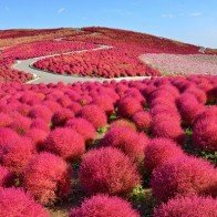 Hitachi – Cảm xúc không biết gọi tên