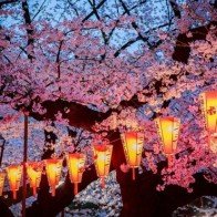 10 điểm đến đẹp đến khó tin ở Nhật Bản