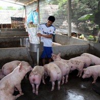 Cử nhân 9x về làng bắt đất khó "nhả ngọc"